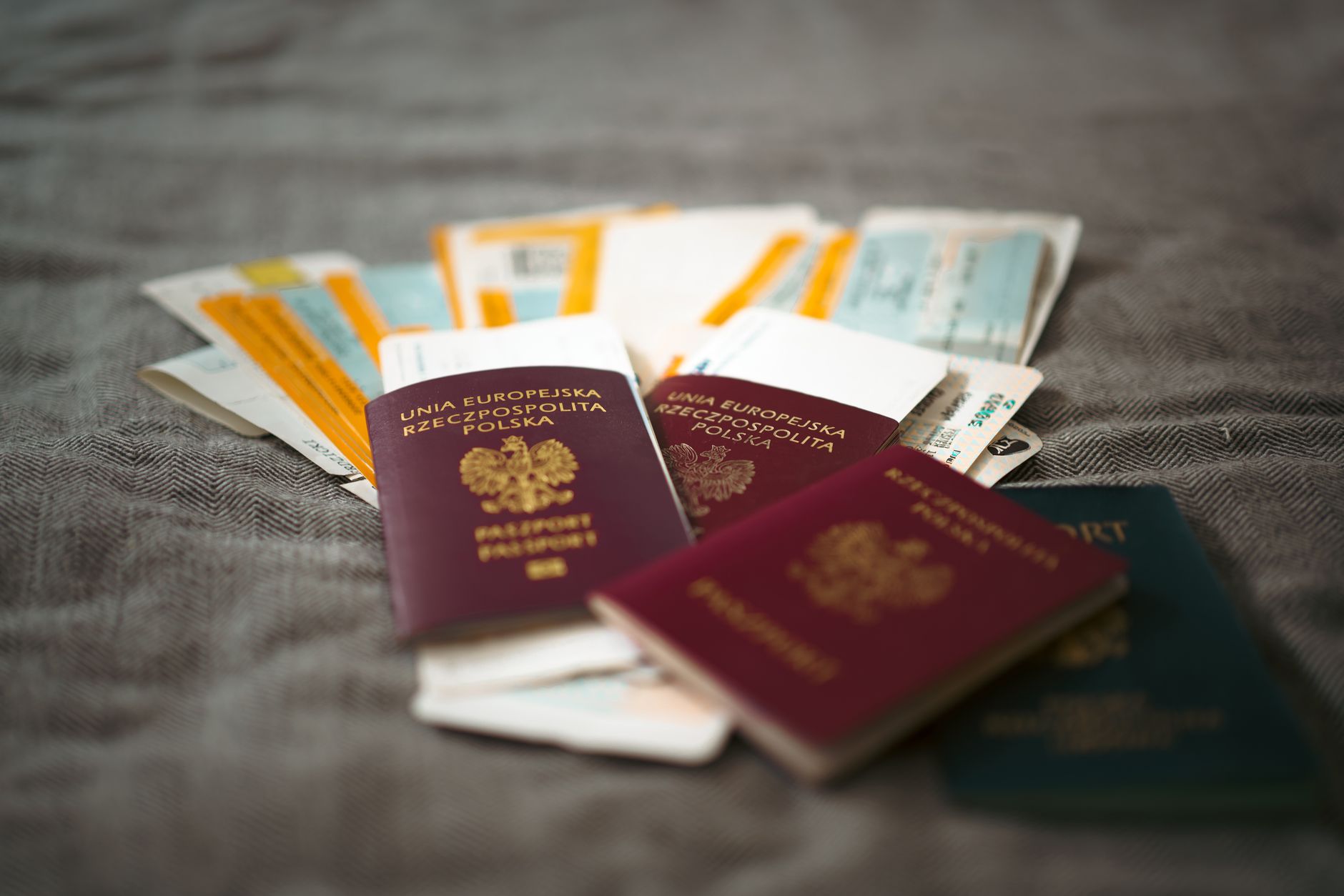 Immigration Services