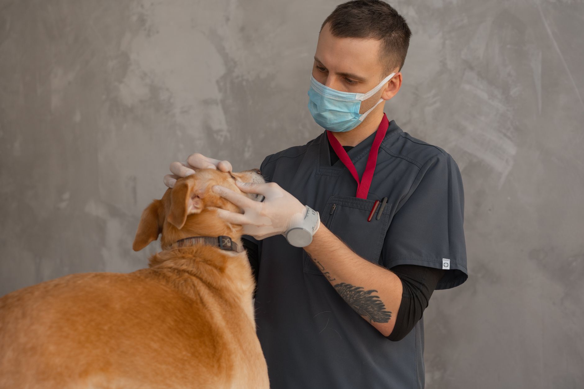 Veterinarians